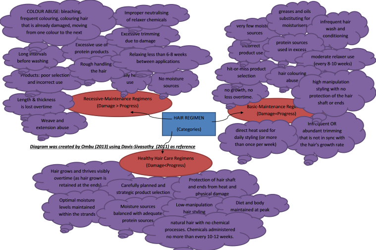 My Diagram of the Three Categories of Hair Regimen using Davis-Sivosothy (2011) as reference.